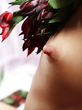Small Nipples, Nastia | Alstroemeria